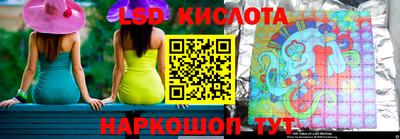 шишки Аргун