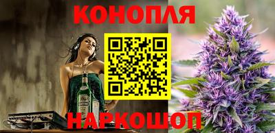 шишки Аргун