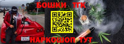 шишки Аргун